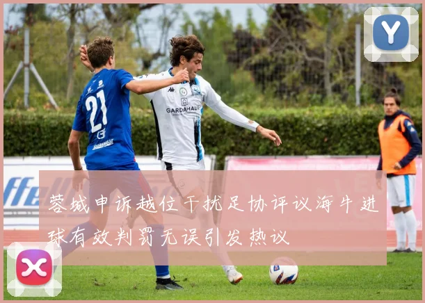 蓉城申诉越位干扰足协评议海牛进球有效判罚无误引发热议