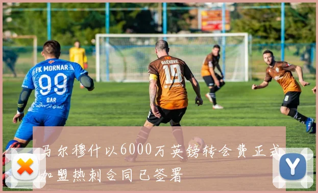 马尔穆什以6000万英镑转会费正式加盟热刺合同已签署